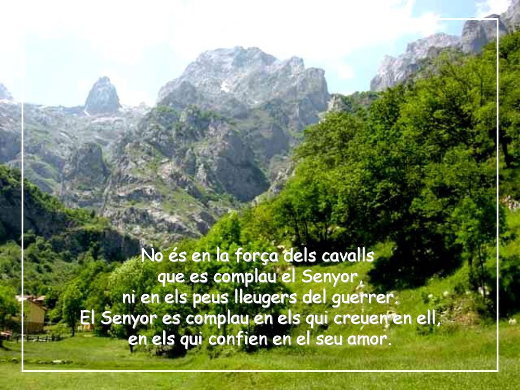 No és en la força dels cavalls que es complau el Senyor,