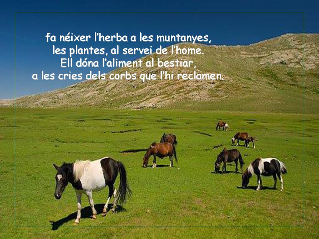 fa néixer l’herba a les muntanyes, les plantes, al servei de l’home.
