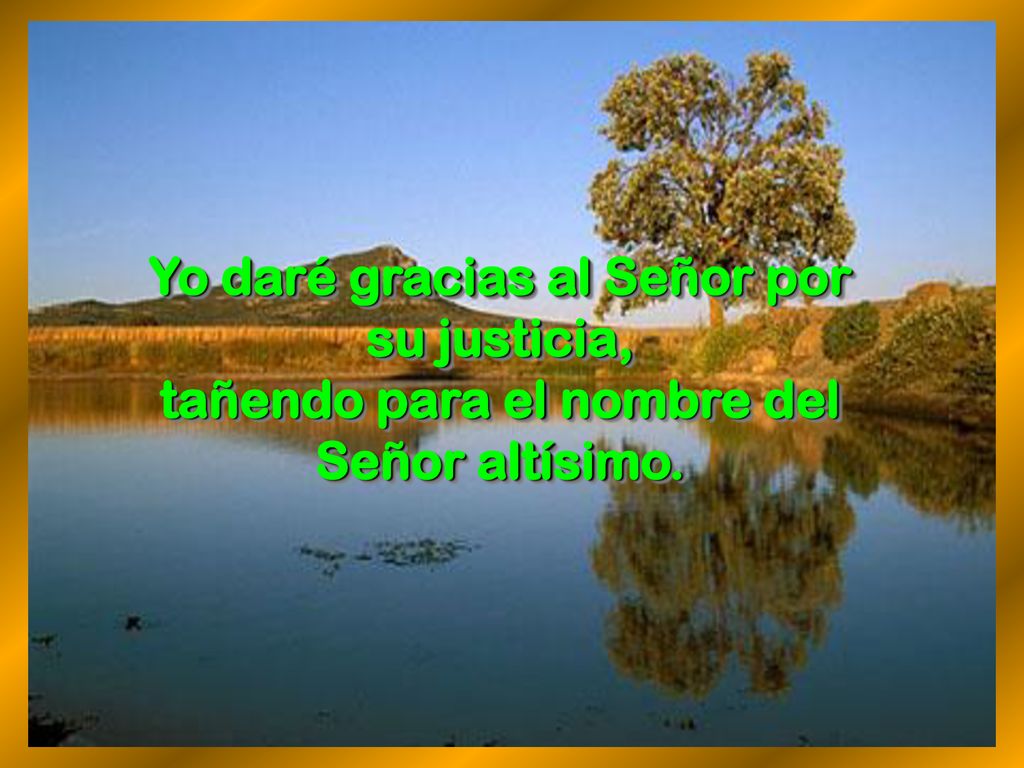 Yo daré gracias al Señor por su justicia,
