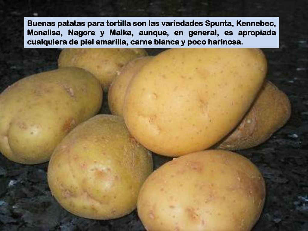 Buenas patatas para tortilla son las variedades Spunta, Kennebec, Monalisa, Nagore y Maika, aunque, en general, es apropiada cualquiera de piel amarilla, carne blanca y poco harinosa.