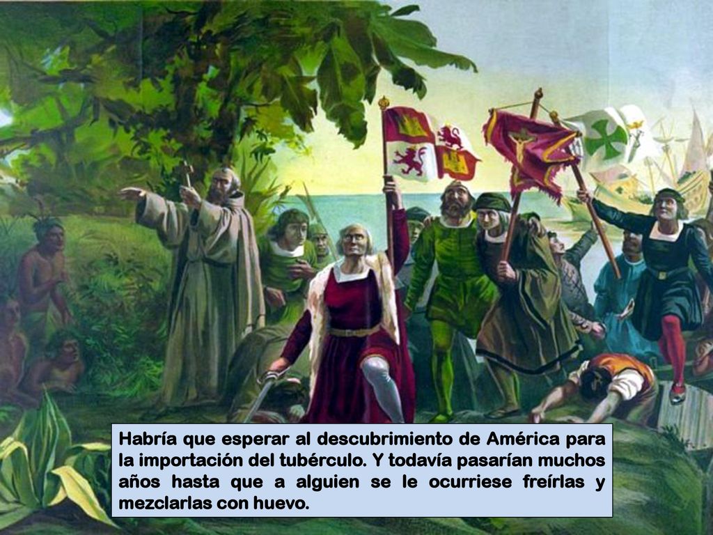 Habría que esperar al descubrimiento de América para la importación del tubérculo.