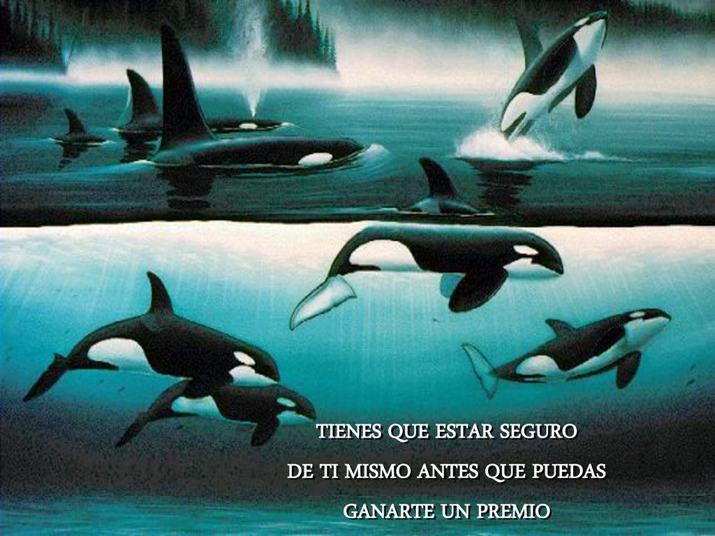 TIENES QUE ESTAR SEGURO DE TI MISMO ANTES QUE PUEDAS GANARTE UN PREMIO