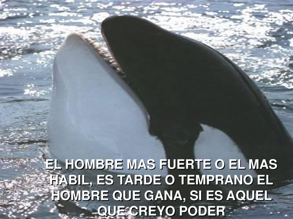 EL HOMBRE MAS FUERTE O EL MAS HABIL, ES TARDE O TEMPRANO EL HOMBRE QUE GANA, SI ES AQUEL QUE CREYO PODER