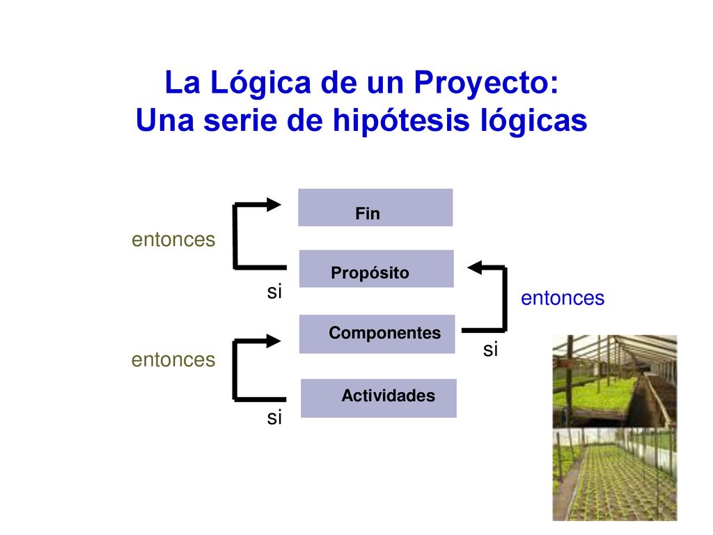 La Lógica de un Proyecto: Una serie de hipótesis lógicas