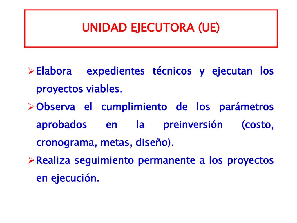 UNIDAD EJECUTORA (UE) Elabora expedientes técnicos y ejecutan los proyectos viables.