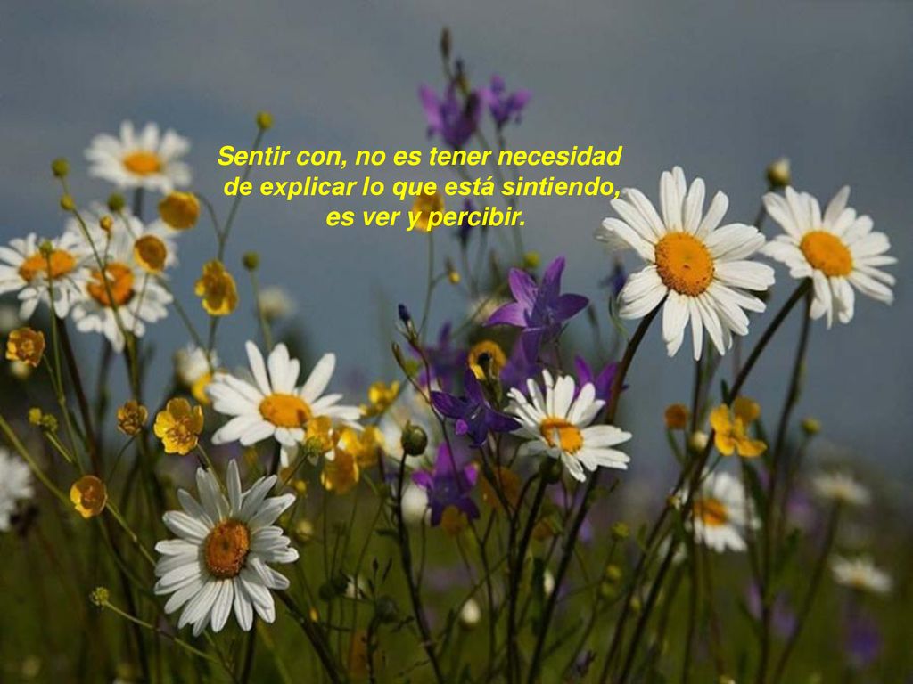Sentir con, no es tener necesidad de explicar lo que está sintiendo,