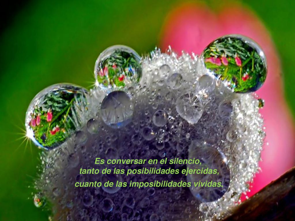 Es conversar en el silencio, tanto de las posibilidades ejercidas,