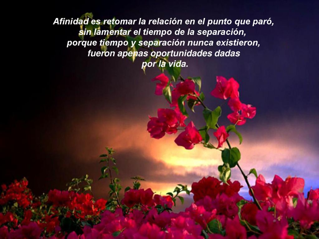 Afinidad es retomar la relación en el punto que paró,