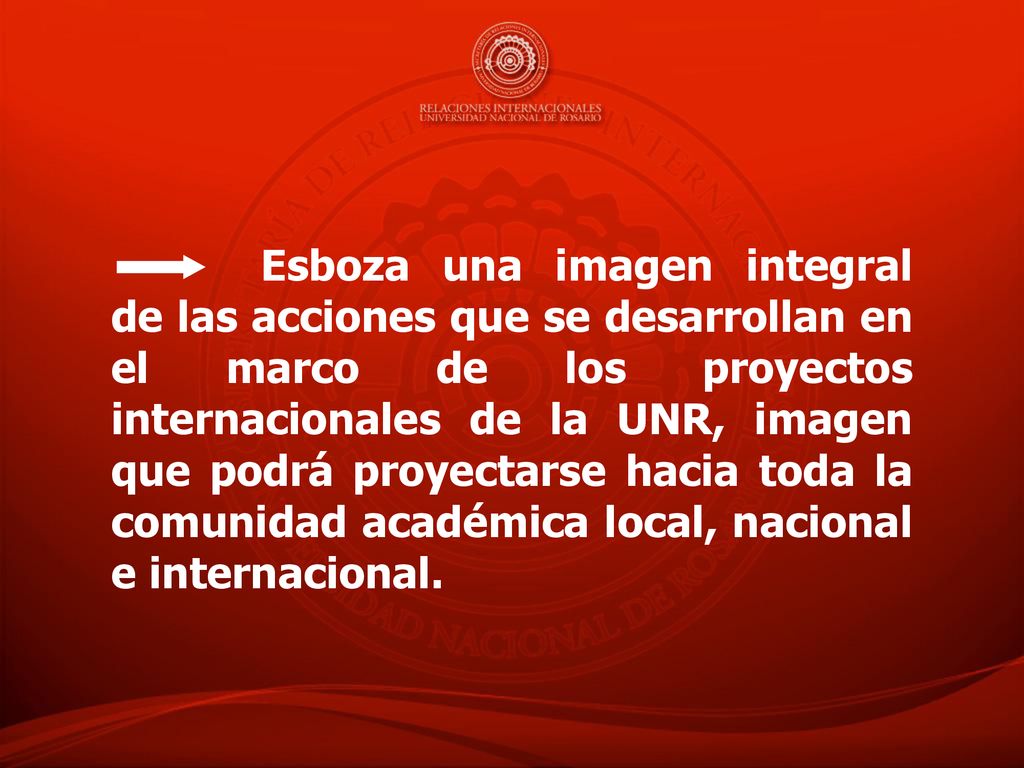 Esboza una imagen integral de las acciones que se desarrollan en el marco de los proyectos internacionales de la UNR, imagen que podrá proyectarse hacia toda la comunidad académica local, nacional e internacional.
