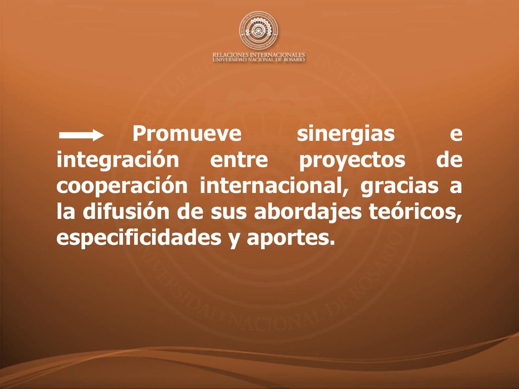 Promueve sinergias e integración entre proyectos de cooperación internacional, gracias a la difusión de sus abordajes teóricos, especificidades y aportes.