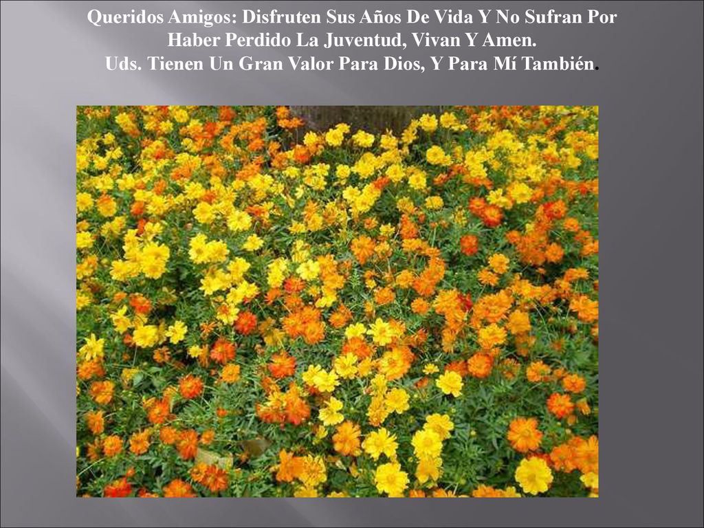 Uds. Tienen Un Gran Valor Para Dios, Y Para Mí También.