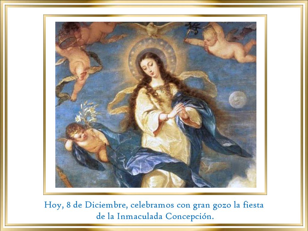 Hoy, 8 de Diciembre, celebramos con gran gozo la fiesta
