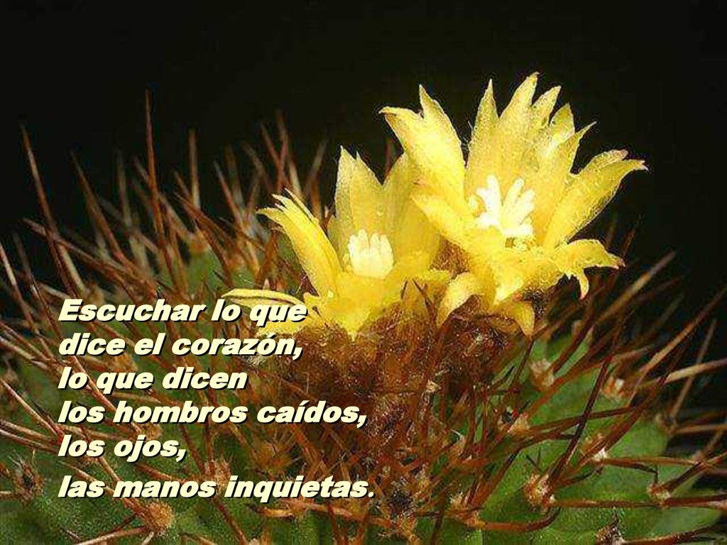 Escuchar lo que dice el corazón, lo que dicen los hombros caídos, los ojos, las manos inquietas.