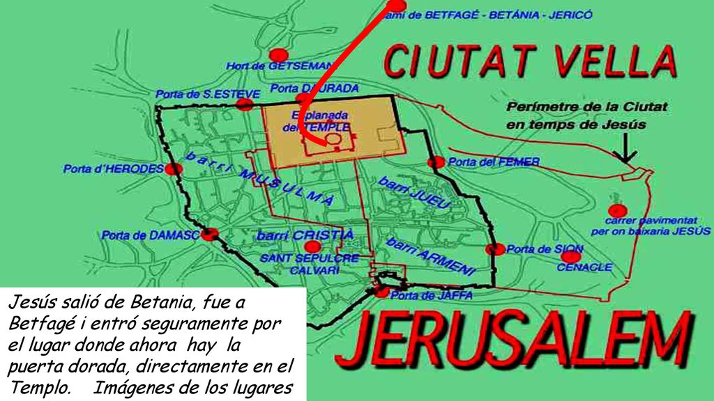 Jesús salió de Betania, fue a Betfagé i entró seguramente por el lugar donde ahora hay la puerta dorada, directamente en el Templo.