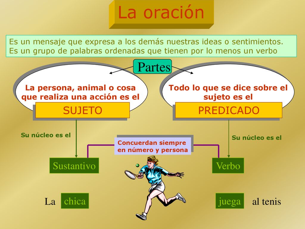 La oración Partes SUJETO PREDICADO Sustantivo Verbo La chica juega