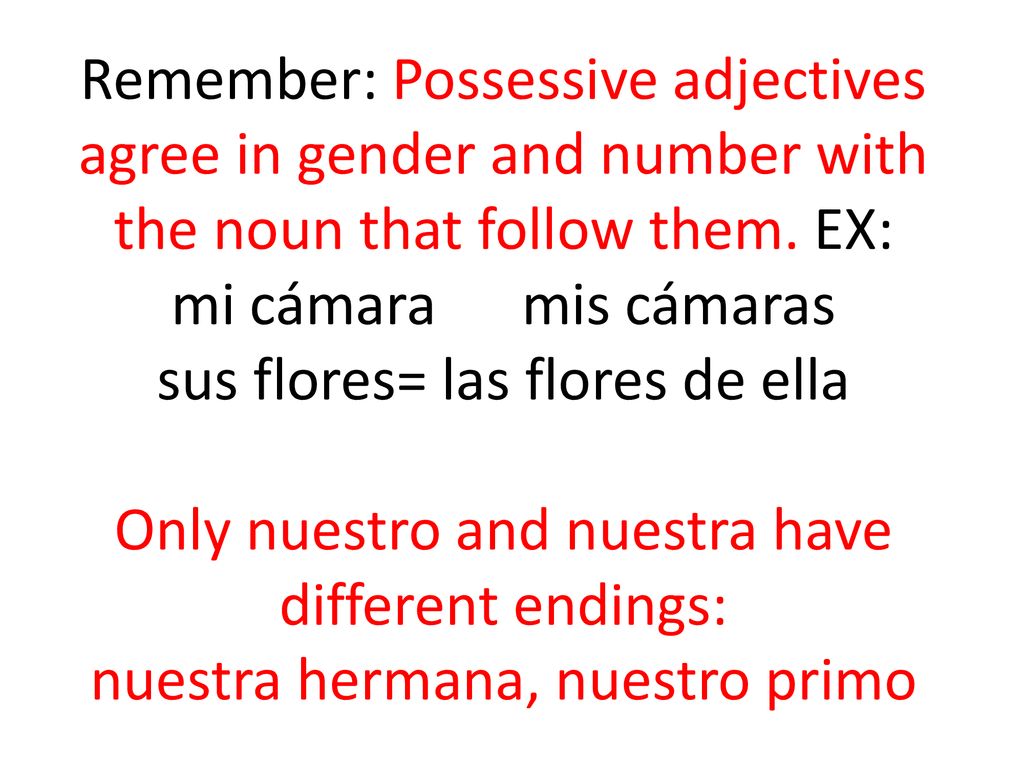 Remember: Possessive adjectives agree in gender and number with the noun that follow them.