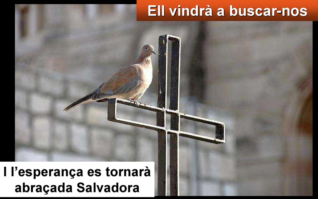 Ell vindrà a buscar-nos I l’esperança es tornarà abraçada Salvadora