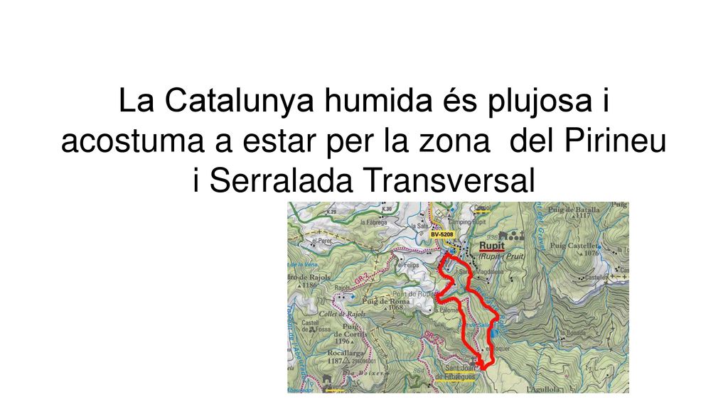 La Catalunya humida és plujosa i acostuma a estar per la zona del Pirineu i Serralada Transversal