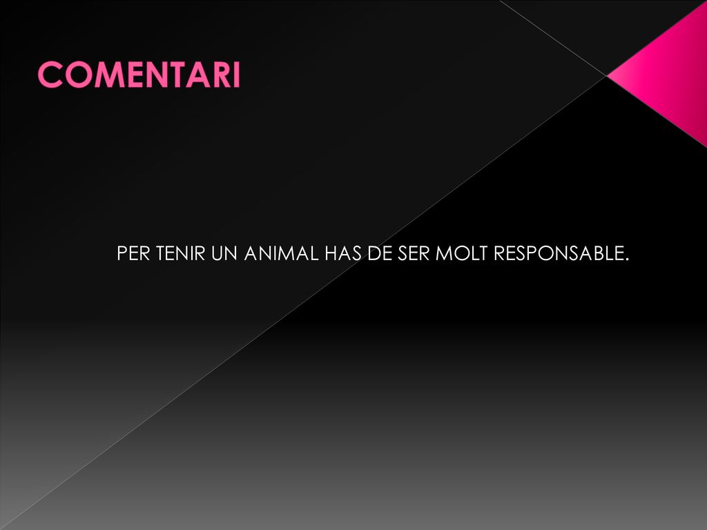 COMENTARI PER TENIR UN ANIMAL HAS DE SER MOLT RESPONSABLE.