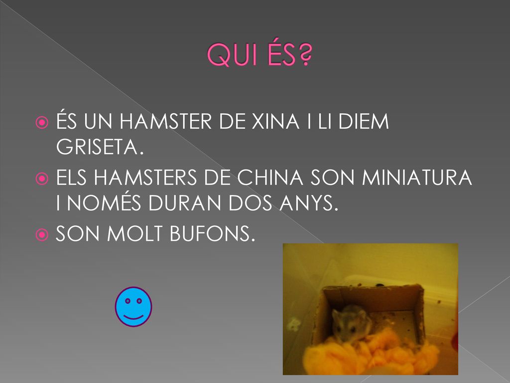 QUI ÉS ÉS UN HAMSTER DE XINA I LI DIEM GRISETA.