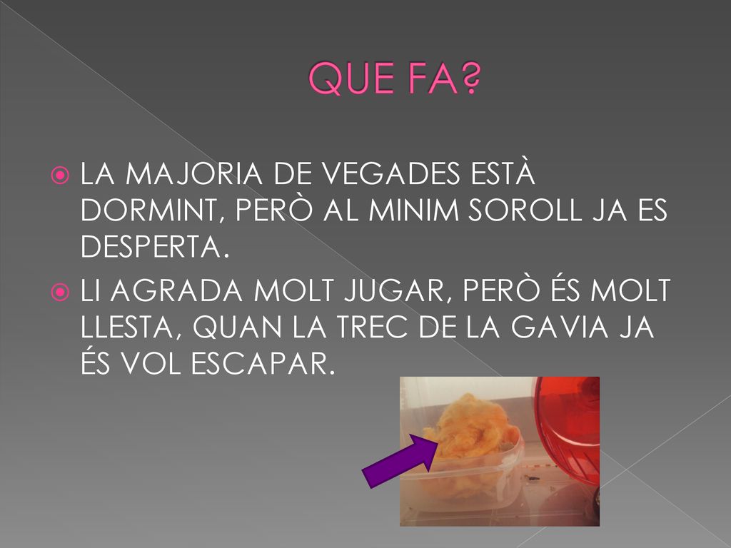 QUE FA LA MAJORIA DE VEGADES ESTÀ DORMINT, PERÒ AL MINIM SOROLL JA ES DESPERTA.