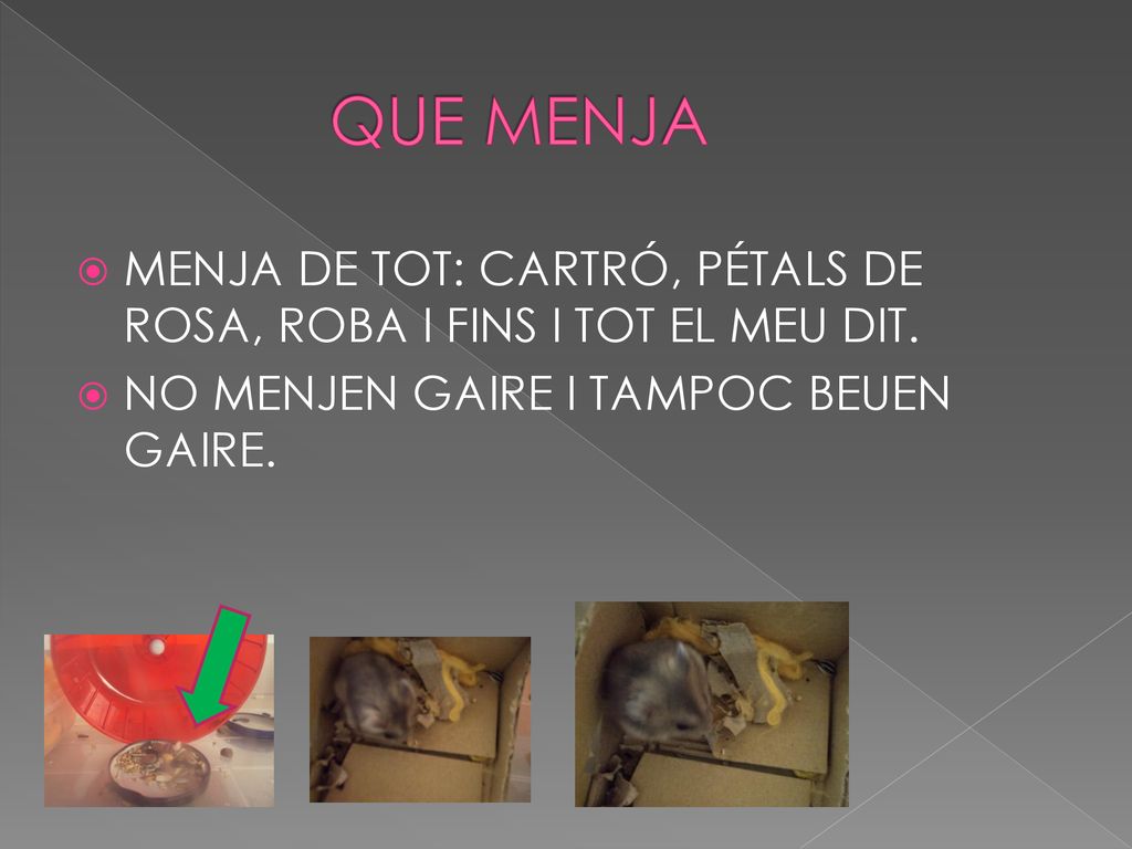 QUE MENJA MENJA DE TOT: CARTRÓ, PÉTALS DE ROSA, ROBA I FINS I TOT EL MEU DIT.
