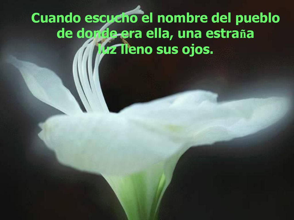 Cuando escucho el nombre del pueblo de donde era ella, una estraña luz lleno sus ojos.