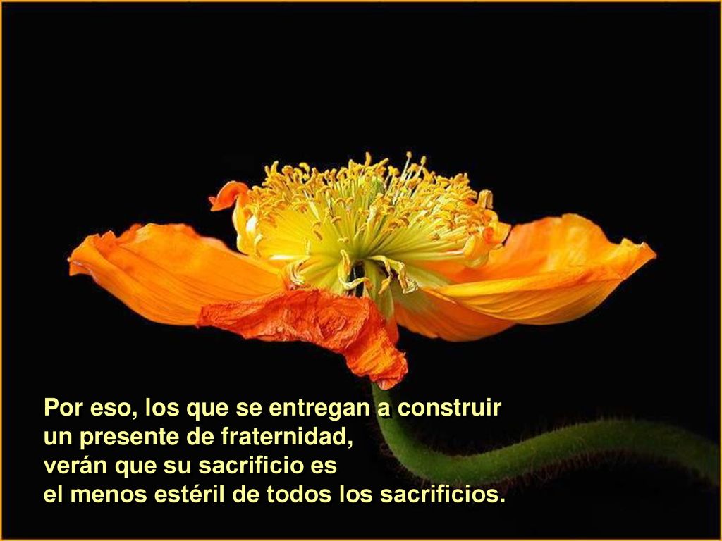 Por eso, los que se entregan a construir un presente de fraternidad, verán que su sacrificio es el menos estéril de todos los sacrificios.