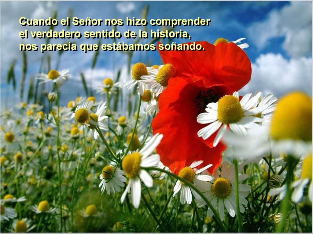 Cuando el Señor nos hizo comprender el verdadero sentido de la historia, nos parecía que estábamos soñando.