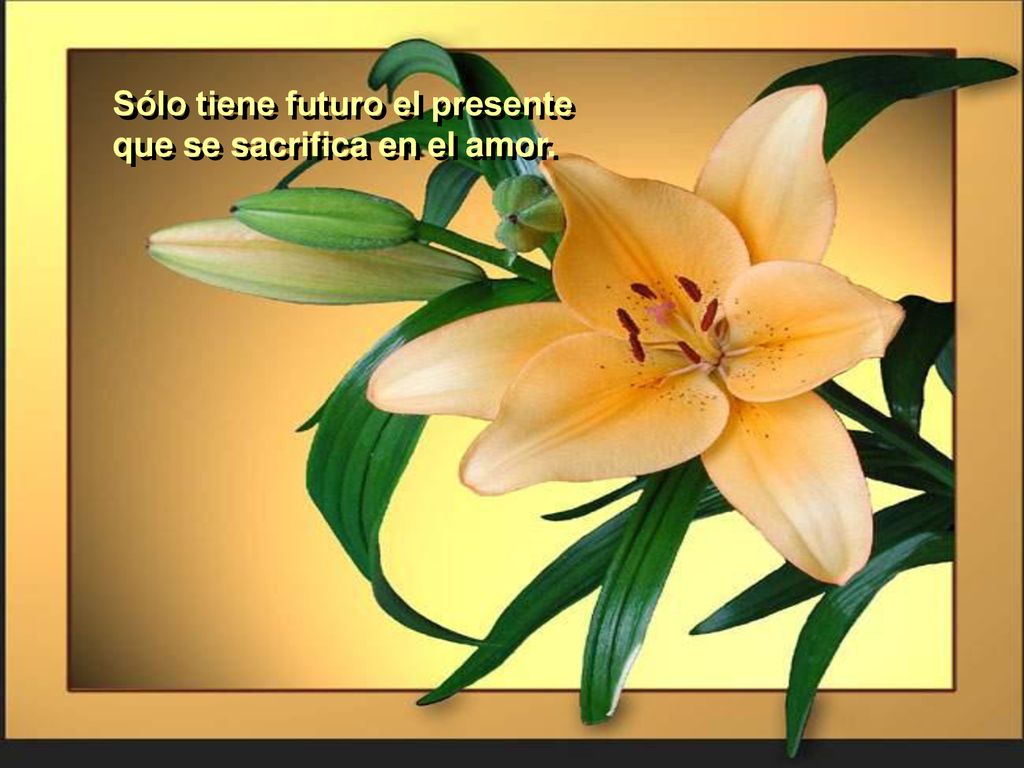 Sólo tiene futuro el presente que se sacrifica en el amor.