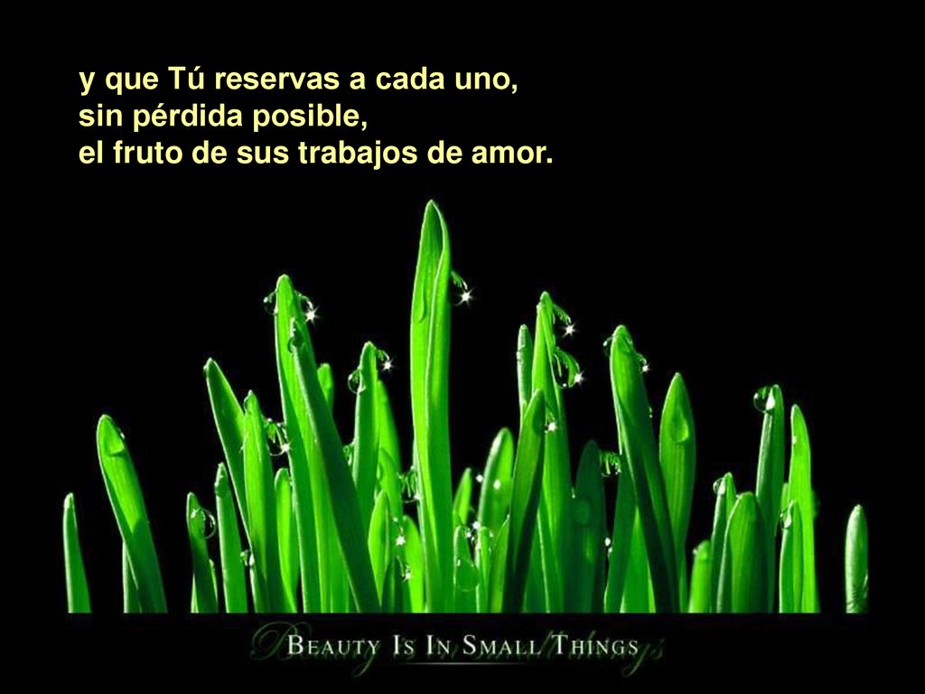 y que Tú reservas a cada uno, sin pérdida posible, el fruto de sus trabajos de amor.
