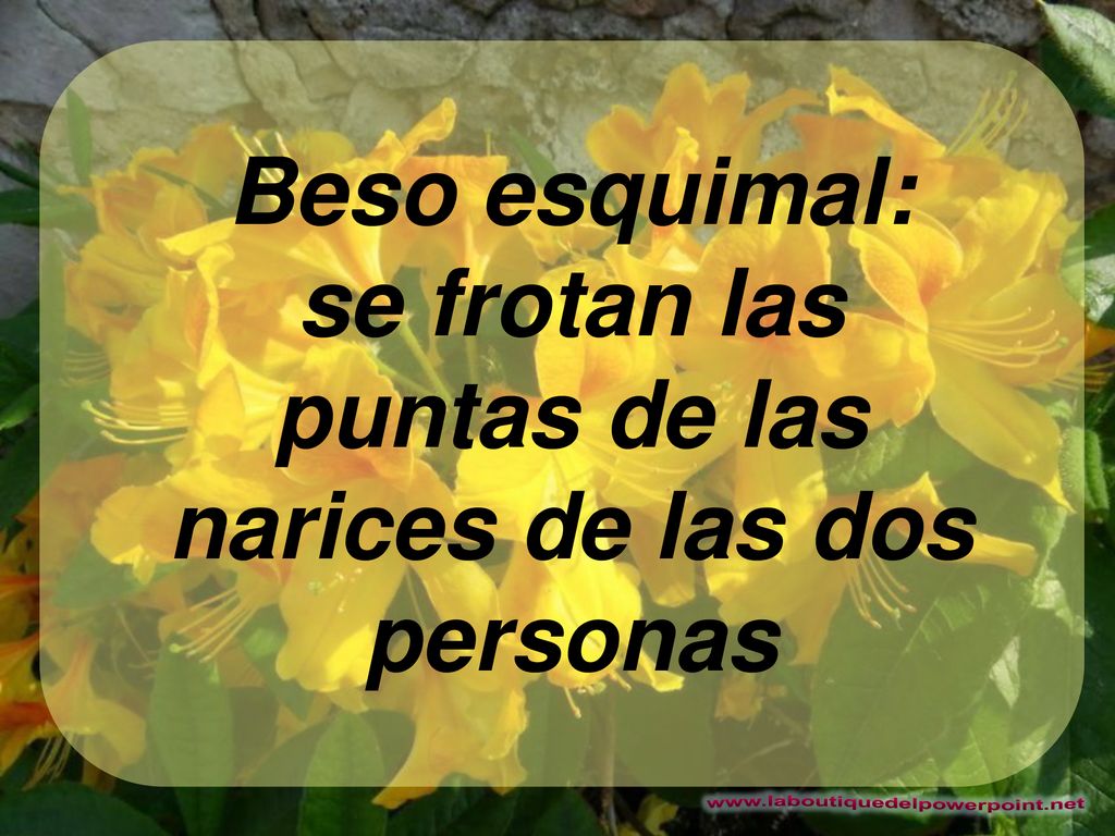 Beso esquimal: se frotan las puntas de las narices de las dos personas