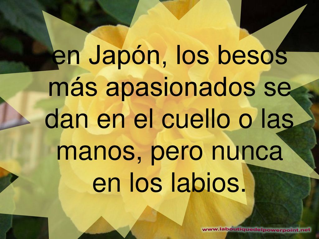 en Japón, los besos más apasionados se dan en el cuello o las manos, pero nunca en los labios.