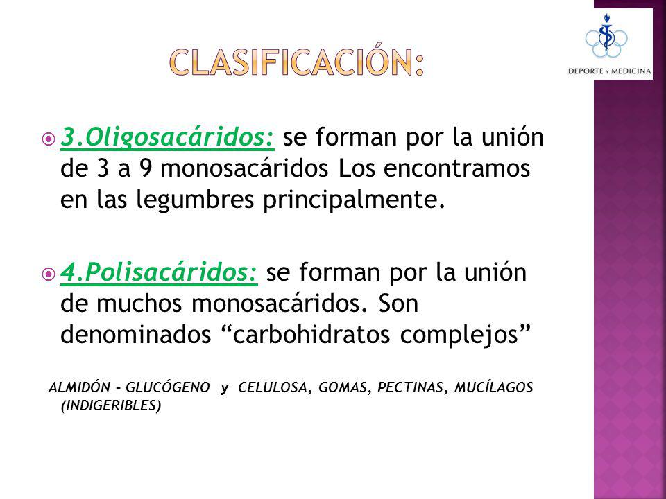 CLASIFICACIÓN: 3.Oligosacáridos: se forman por la unión de 3 a 9 monosacáridos Los encontramos en las legumbres principalmente.