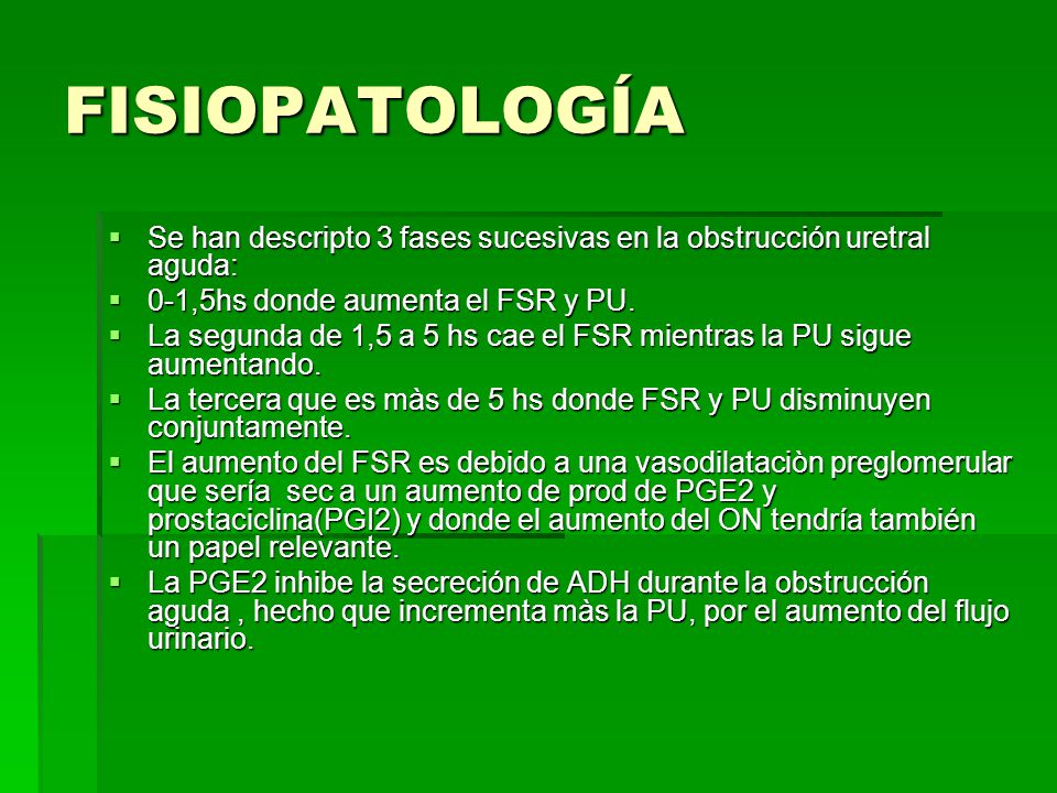 FISIOPATOLOGÍA Se han descripto 3 fases sucesivas en la obstrucción uretral aguda: 0-1,5hs donde aumenta el FSR y PU.