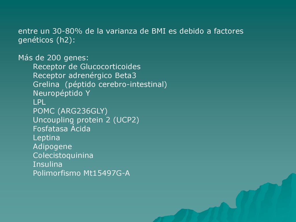 entre un 30-80% de la varianza de BMI es debido a factores genéticos (h2):