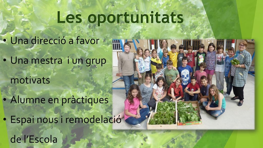 Les oportunitats Una direcció a favor Una mestra i un grup motivats