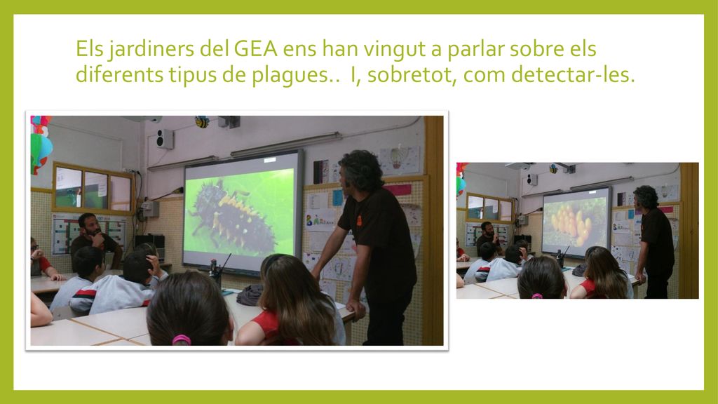 Els jardiners del GEA ens han vingut a parlar sobre els diferents tipus de plagues..