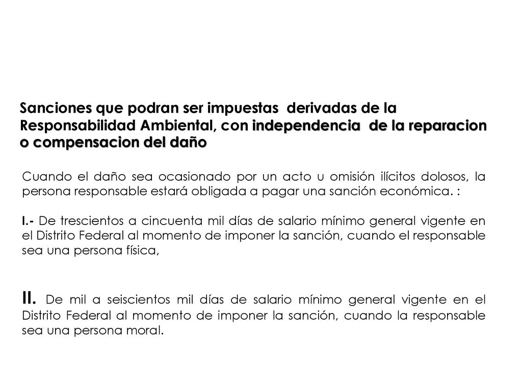 Sanciones que podran ser impuestas derivadas de la Responsabilidad Ambiental, con independencia de la reparacion o compensacion del daño