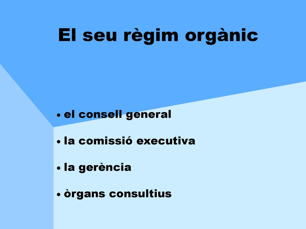 El seu règim orgànic  el consell general  la comissió executiva
