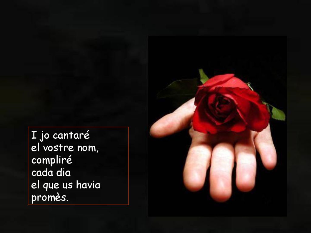 I jo cantaré el vostre nom, compliré cada dia el que us havia promès.