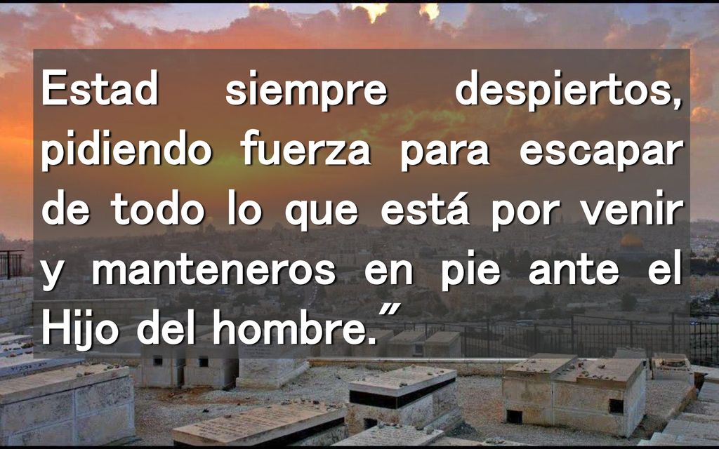 Estad siempre despiertos, pidiendo fuerza para escapar de todo lo que está por venir y manteneros en pie ante el Hijo del hombre.