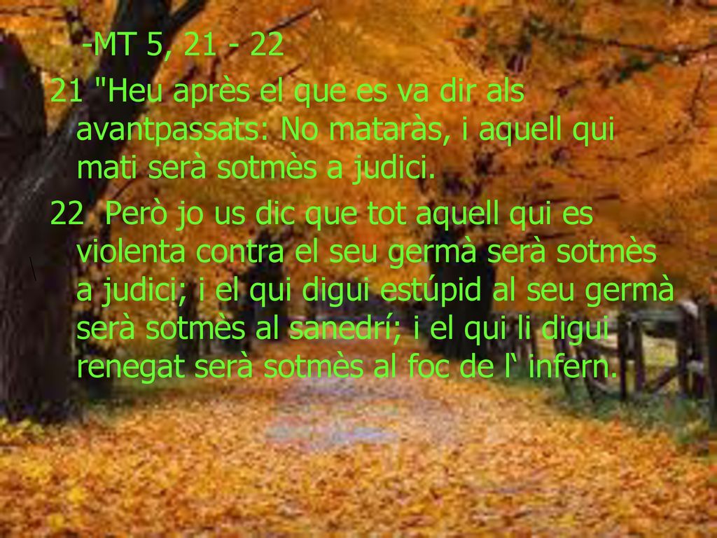 -MT 5, Heu après el que es va dir als avantpassats: No mataràs, i aquell qui mati serà sotmès a judici.