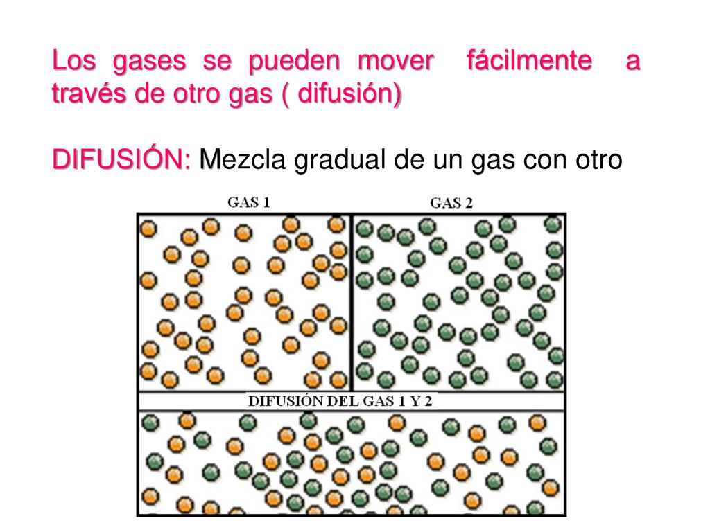 Los gases se pueden mover fácilmente a través de otro gas ( difusión)