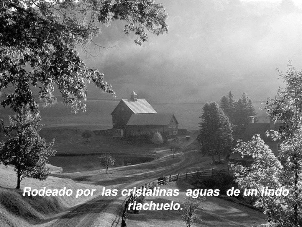 Rodeado por las cristalinas aguas de un lindo riachuelo.