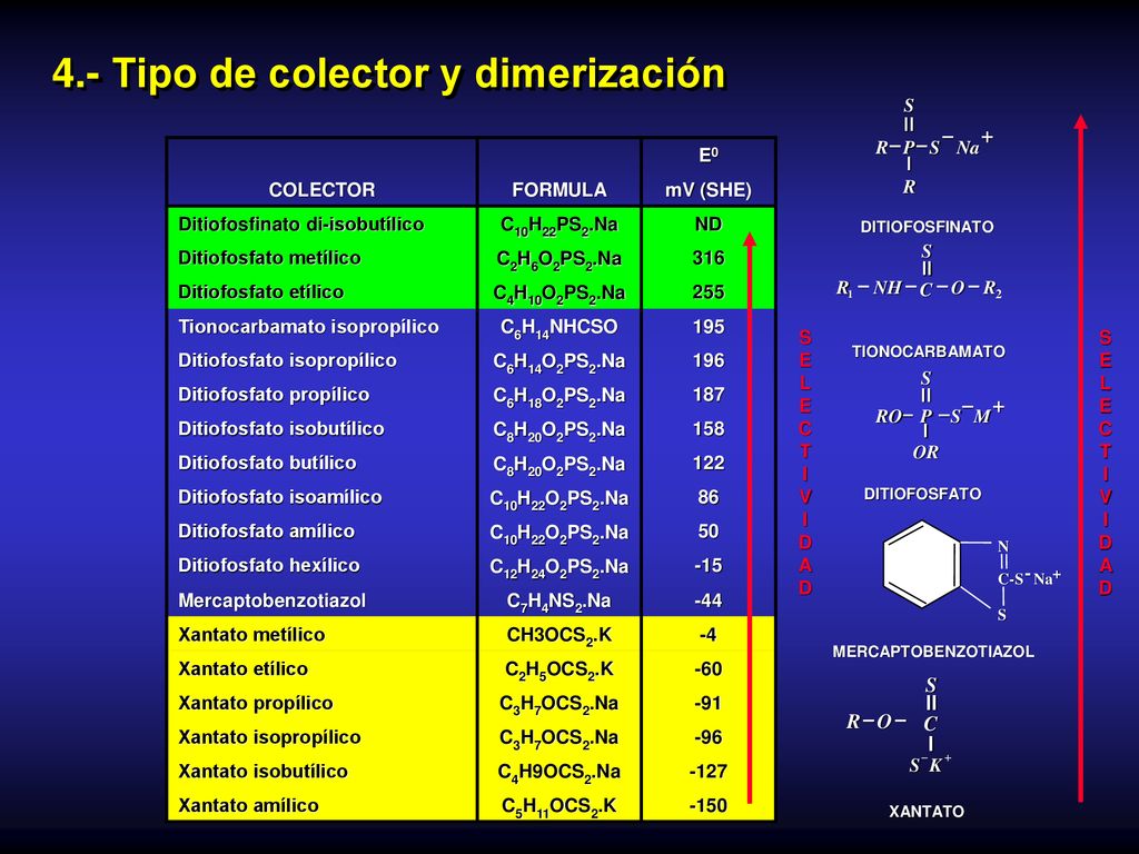 4.- Tipo de colector y dimerización