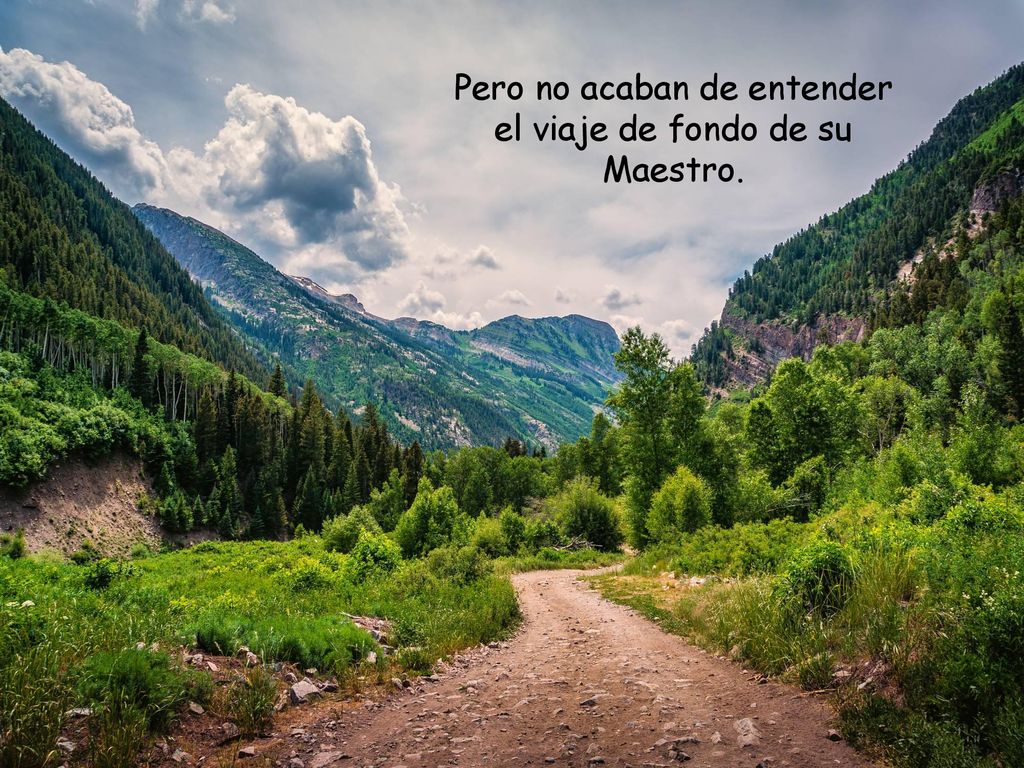 Pero no acaban de entender el viaje de fondo de su Maestro.