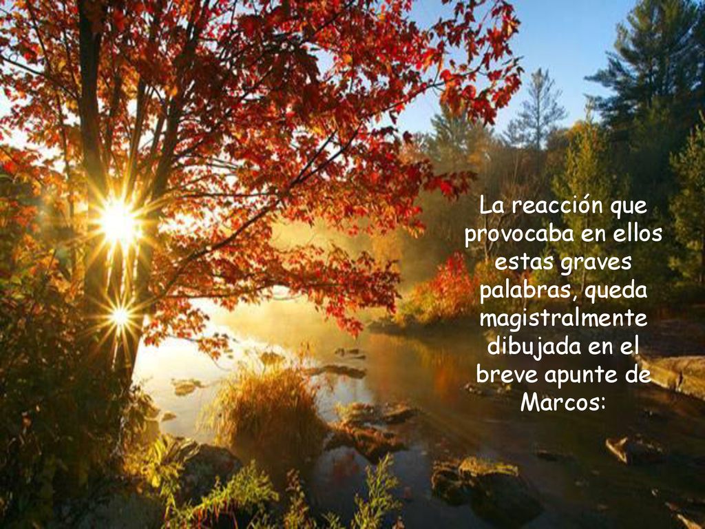 La reacción que provocaba en ellos estas graves palabras, queda magistralmente dibujada en el breve apunte de Marcos: