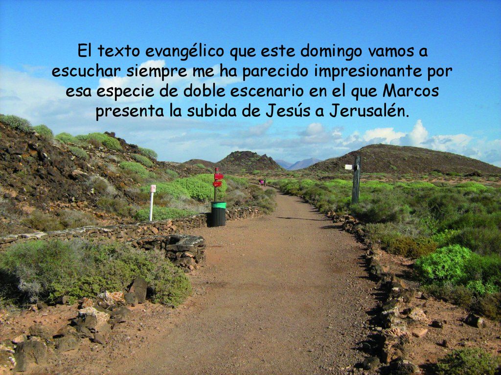 El texto evangélico que este domingo vamos a escuchar siempre me ha parecido impresionante por esa especie de doble escenario en el que Marcos presenta la subida de Jesús a Jerusalén.