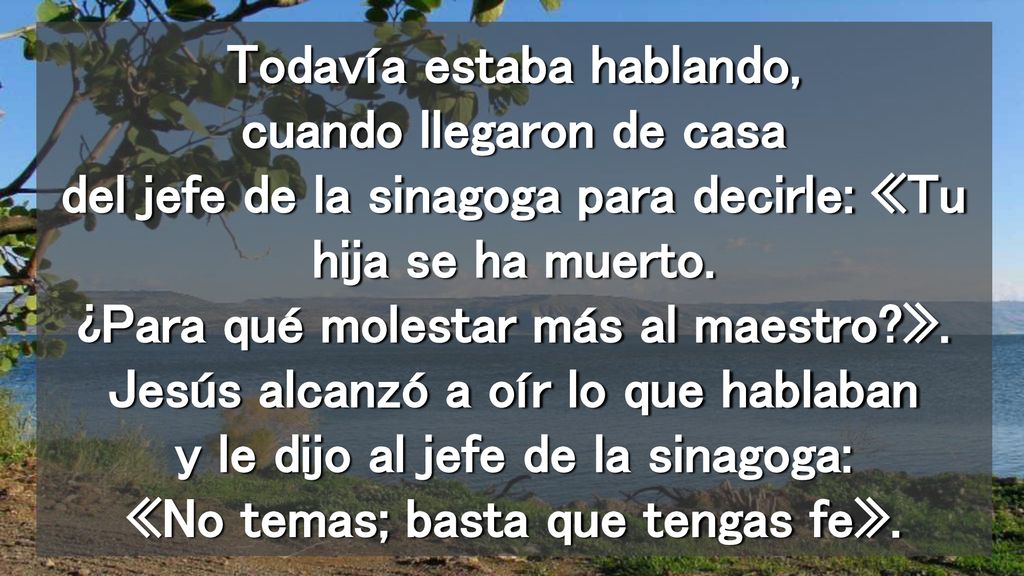 Todavía estaba hablando, cuando llegaron de casa del jefe de la sinagoga para decirle: «Tu hija se ha muerto.
